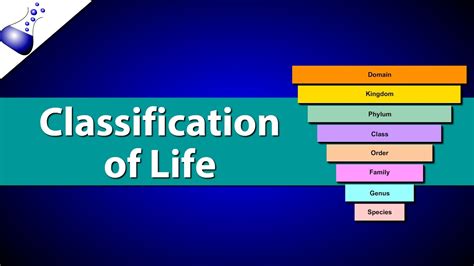 This article develops a taxonomy to identify privacy problems in a comprehensive and concrete manner. Classification of Life - YouTube