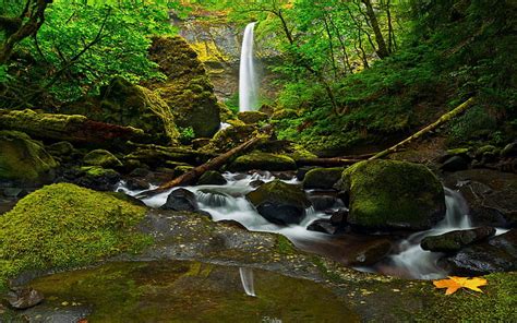 Kirkton Glen Waterfall In Balquhidder Escocia Forest Stream River Rock