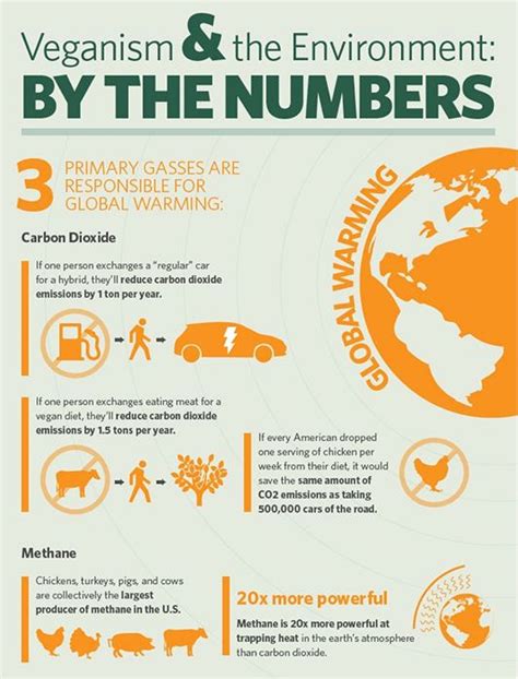Global Warming Reasons To Go Vegan Global Warming Infographic
