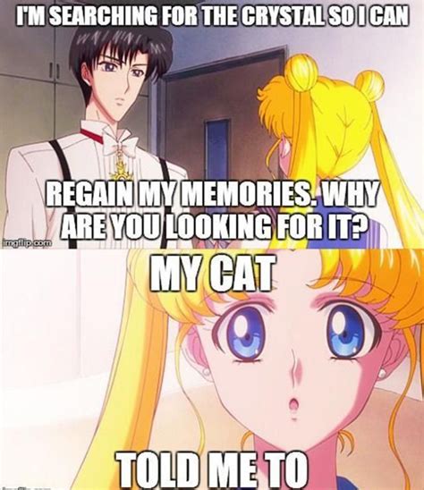 An Introduction To Anime And Manga Sailor Moon Funny Sailor Moon Meme