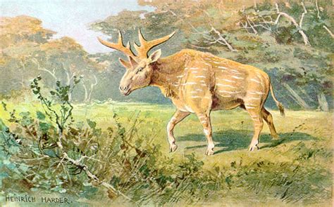 Sivatherium Feite En Syfers