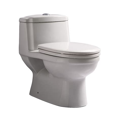 Dorado 6 Lpf 1 Piece Dual Flush Elongated Bowl Toilet
