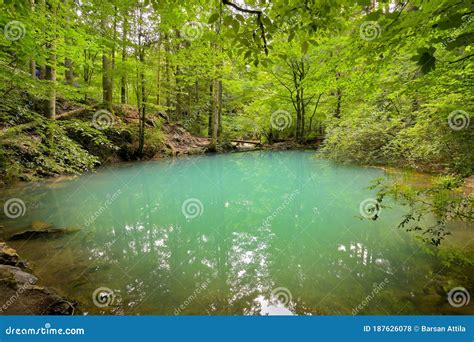 Ochiul Beiului Dun Petit Lac Vert Sur La Gorge Nera Dans Le Parc