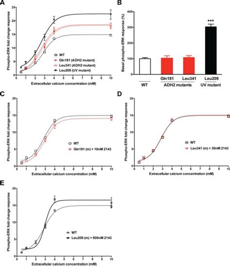 Allosteric Modulation Of The Calcium Sensing Receptor Rectifies