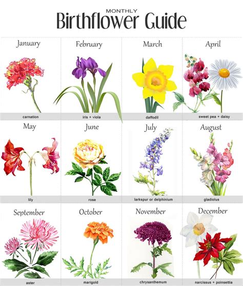Birth Flowers By Month Chart