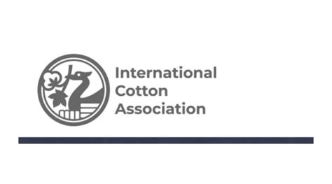 ICA Oferece Bolsa De Estudos Para O Complete Cotton 2024 Para Mulher