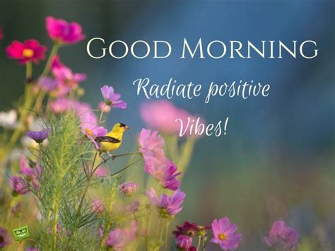 Good Morning Radiate Positive Vibes Pictures Photos And Images For