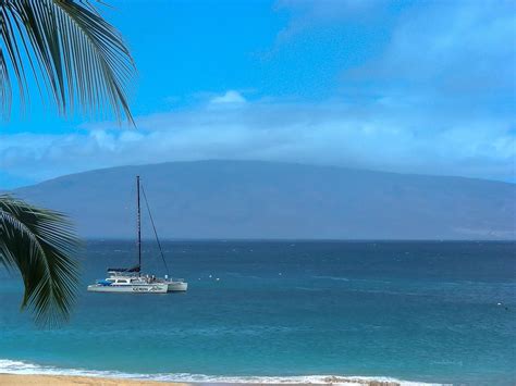 Aloha From Maui 2 Photograph By Diane Lindon Coy Fine Art America