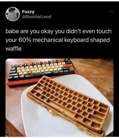 The Best Waffle Memes Memedroid