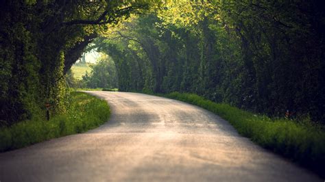 Wallpaper Road Trees Grass Nature 1920x1080 Full Hd 2k Picture Image