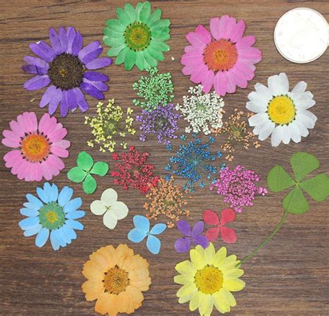 We did not find results for: Online Buy Wholesale dried pressed flowers from China ...