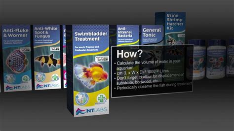 How To Use Swimbladder Treatment - YouTube
