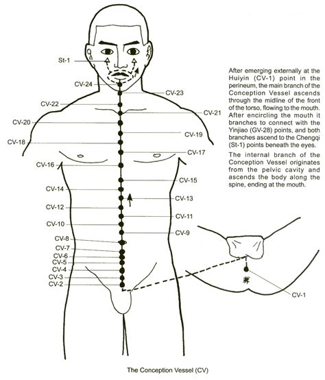 The Governing Vessel Tongue Alignment Meridian Acupuncture Medical