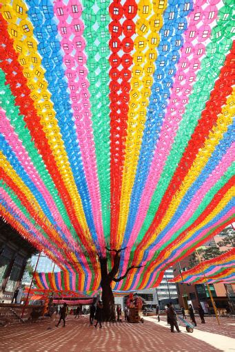 South Koreas Lotus Lantern Lighting Festival At Final Stage Before