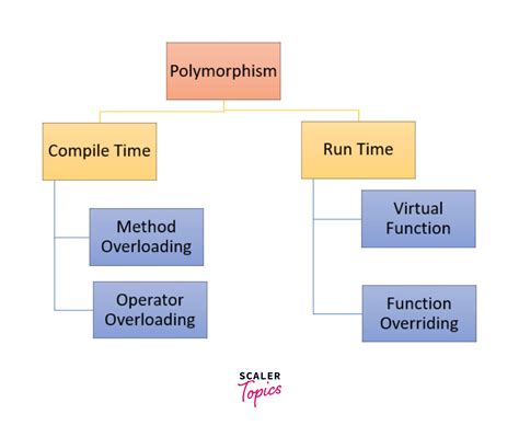 What Are The Different Types Of Polymorphism In C Scaler Topics