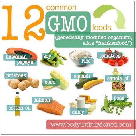 Why You Should Care About Gmos In Our Food Supply Real Food