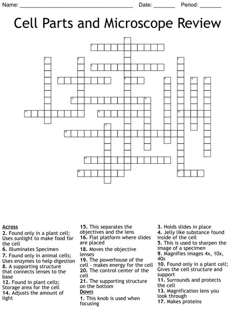 The Microscope Crossword Puzzle Blank Version Without Word Bank 2