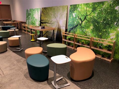 Edspaces Classroom Award Winning Biophilic Design Inspired By Nature