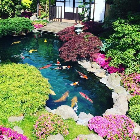 Pin by Tran Nguyen on Koi Box | Pond design, Fish pond gardens
