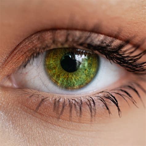 Die Unglaubliche Wahrheit über Grüne Augen Cosmopolitan