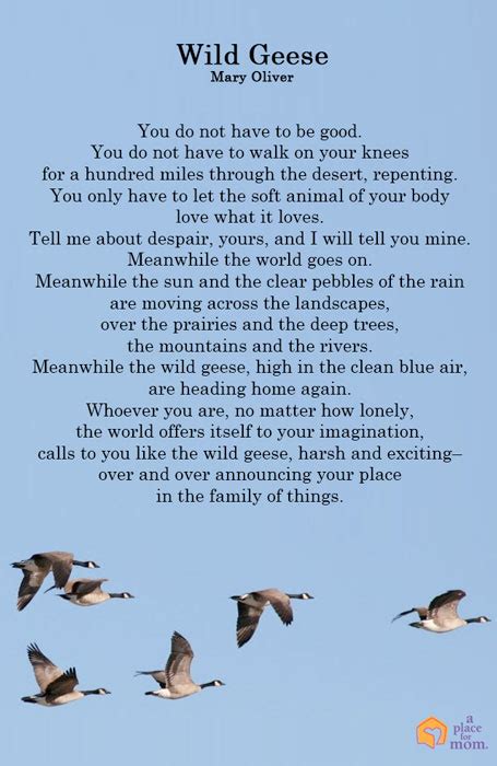 Poem Wild Geese By Mary Oliver