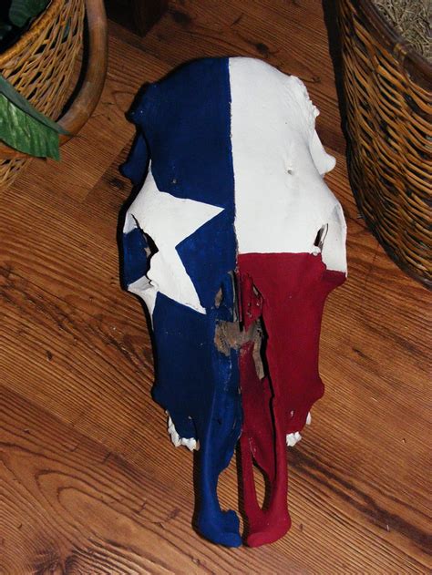 I Painted A Cowskull For My Neice With The Texas Flag On It Painted