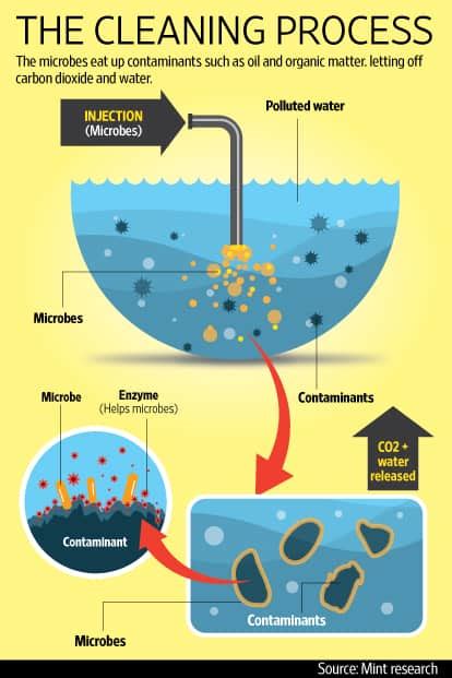 How Microbes Can Clean Polluted Water From Drains To Rivers Mint