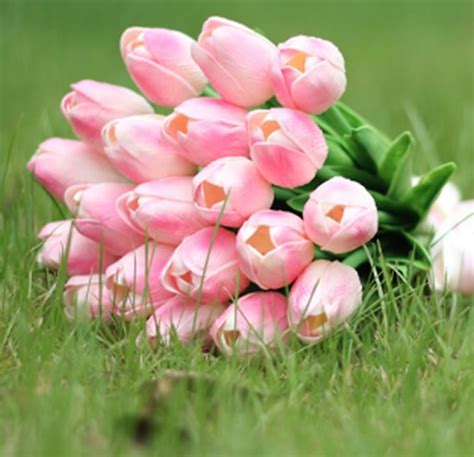 Banyaknya lukisan dan gambar bunga tulip menunjukan betapa populernya bunga ini di negara. Arti dan Makna Bunga Tulip Berdasarkan Warna - BibitBunga.com