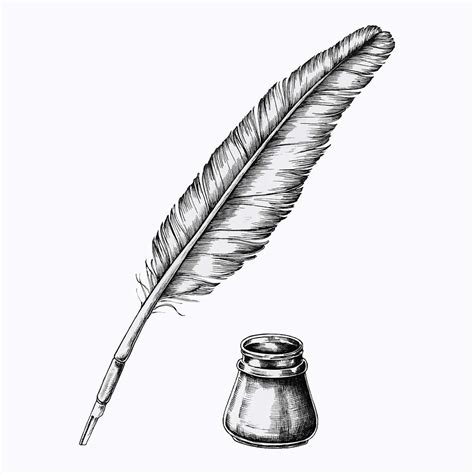 Feather Pen Ink Drawing Royalty Free Stock Vector
