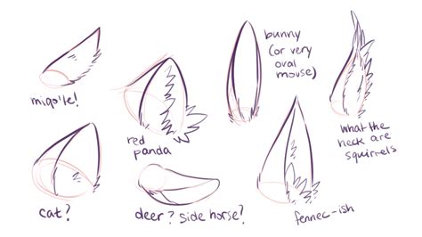 How To Draw Animal Ears At How To Draw