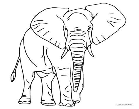 Dibujos Para Colorear Elefante Africano Dibujos Para Colorear Y Pintar