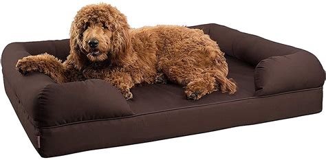 Best Dog Bed For Large Older Dogs Top 10 Picks