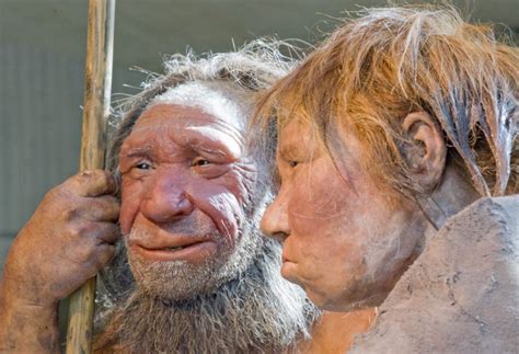 Sally And Sam Humans And Neanderthals May Have Interbred Years