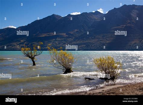 Lake Wakatipu At Glenorchy South Island New Zealand Stock Photo Alamy