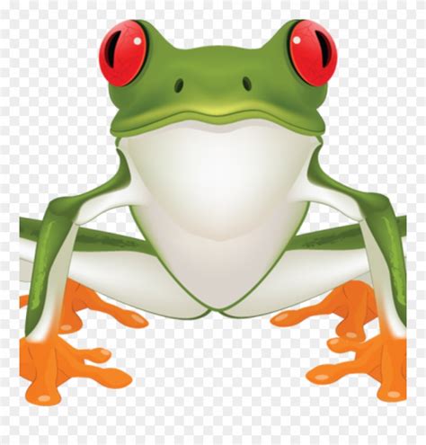 Tree Frog Vector At Collection Of Tree Frog Vector