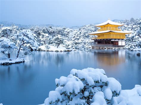 Kinkakuji Temple Winter Kyoto Japan 2020 Bing Hd Desktop