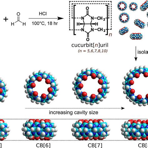 A Illustration Of The Assembly Of Supramolecular Polymer Microcapsules