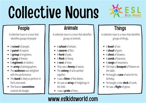 Collective Nouns Examples What Is A Collective Noun Esl Kids World