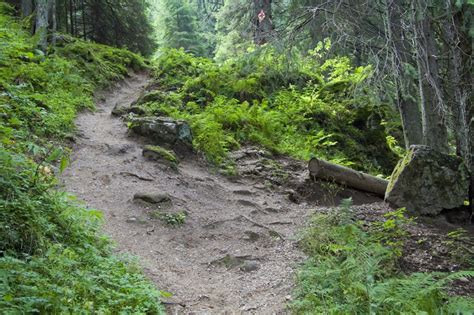 Cascada duruitoarea situata in masivul ceahlau, in punctul numit duruitoarea aflat la o altitudine de 1270 m, cascada duruitoarea este formata pe paraul rupturii care izvoraste din golul alpin si se. Traseu in Masivul Ceahlau: Durau - Cascada Duruitoare - Dochia