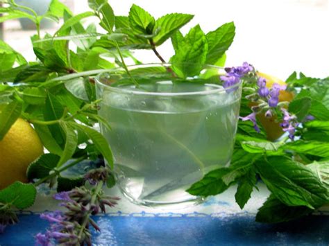 Lemon Verbena And Mint Tea French Verveine And Mint Tisane Recipe