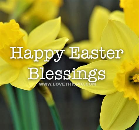 Yellow Daffodil Happy Easter Blessings Pictures Photos And Images