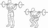Photos of Muscle Compound Exercises