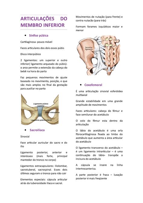 Articulações Do Membro Inferior
