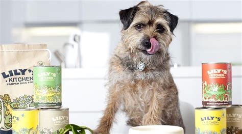 We are more aware of what we are feeding ourselves and our pets too. UK pet food brand Lily's Kitchen sold to Nestlé | Plastics ...