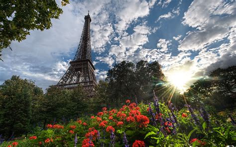 Papel De Parede Flores Torre Eiffel Árvores Paris Dom 2560x1600