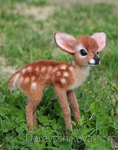 Pin By Dncll On Felting Cute Wild Animals Baby Animals Funny
