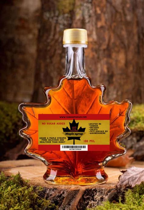 Canada Maple Syrup 100ml | Canda Maple Syrup