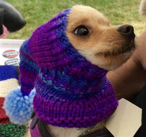Chihuahua Hat Knit Warm Good Stretch Great Fit Snood Small Dog Hat