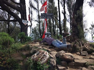 Belalang Tua Pendakian Gunung Argopuro Via Baderan Bremi
