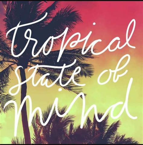 Tropical State Of Mind Summer Quotes Ocean Quotes Beach Quotes